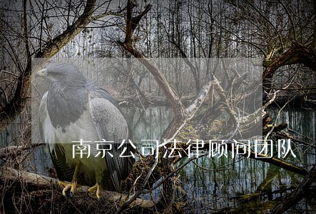 南京公司法律顾问团队 南京公司法律顾问团队