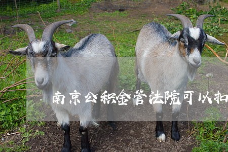 南京公积金管法院可以扣除 南京公积金管法院可以扣除