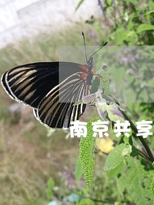 南京共享法律咨询服务所 南京共享法律咨询服务所