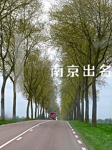 南京出名的离婚债务律师 南京出名的离婚债务律师
