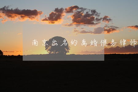 南京出名的离婚债务律师面谈预约 南京出名的离婚债务律师面谈预约