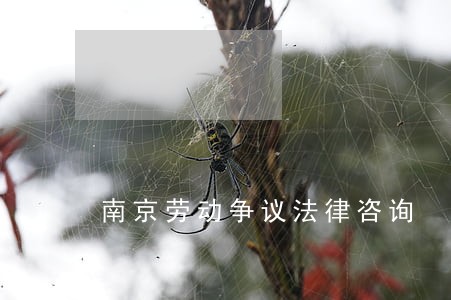 南京劳动争议法律咨询 南京劳动争议法律咨询