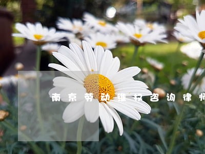 南京劳动维权咨询律师 南京劳动维权咨询律师