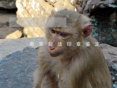 南京司法印章鉴定 南京司法印章鉴定