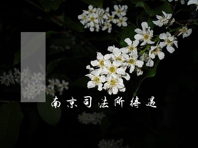 南京司法所待遇