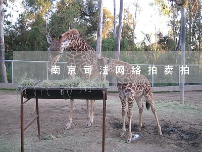 南京司法网络拍卖拍 南京司法网络拍卖拍