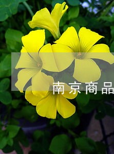 南京商品房质量免费律师咨询 南京商品房质量免费律师咨询
