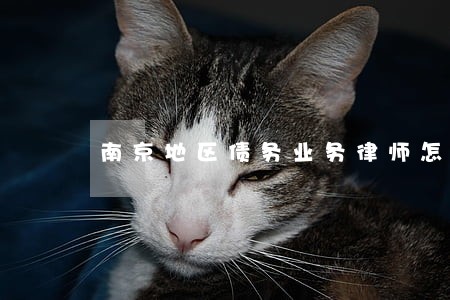 南京地区债务业务律师怎么委托 南京地区债务业务律师怎么委托