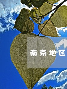 南京地区债务咨询律师哪里找 南京地区债务咨询律师哪里找