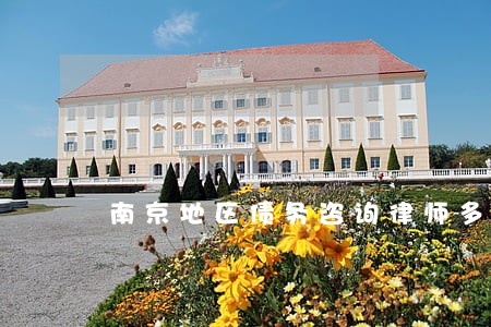南京地区债务咨询律师多少钱 南京地区债务咨询律师多少钱