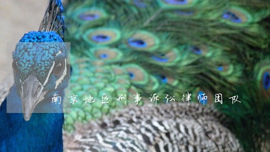 南京地区刑事诉讼律师团队 南京地区刑事诉讼律师团队