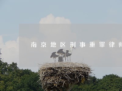 南京地区刑事重罪律师多少钱