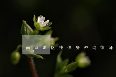 南京地区找债务咨询律师推荐 南京地区找债务咨询律师推荐