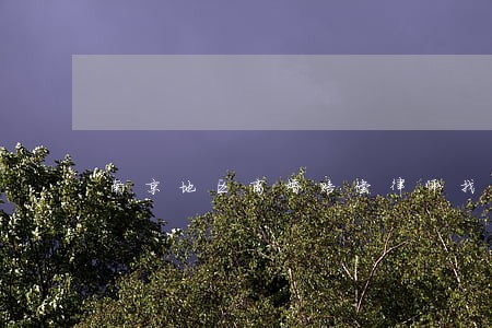 南京地区离婚赔偿律师找哪个 南京地区离婚赔偿律师找哪个