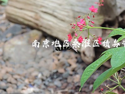 南京地区秦淮区债务咨询律师收费 南京地区秦淮区债务咨询律师收费