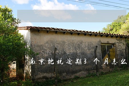 南京地税逾期3个月怎么处理 南京地税逾期3个月怎么处理