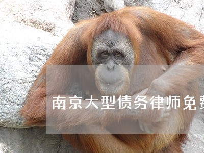 南京大型债务律师免费咨询 南京大型债务律师免费咨询