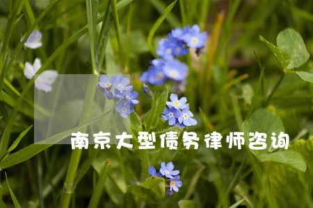 南京大型债务律师咨询 南京大型债务律师咨询
