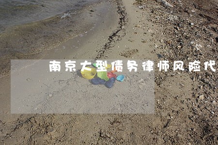 南京大型债务律师风险代理 南京大型债务律师风险代理