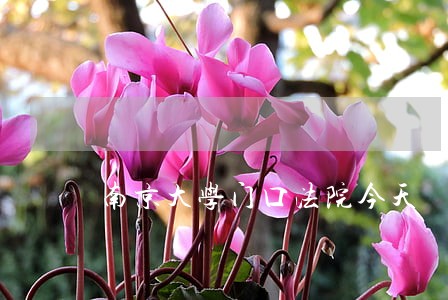 南京大学门口法院今天 南京大学门口法院今天