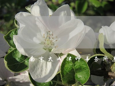 南京大成律师事务所怎么样 南京大成律师事务所怎么样