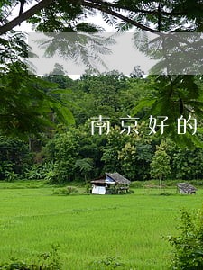 南京好的房产律师事务所 南京好的房产律师事务所