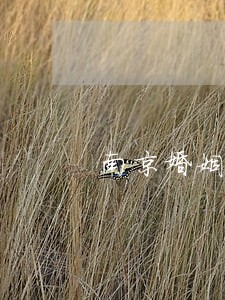 南京婚姻债务律师服务 南京婚姻债务律师服务