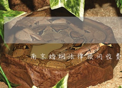 南京婚姻法律顾问收费 南京婚姻法律顾问收费