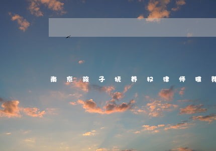 南京孩子抚养权律师推荐 南京孩子抚养权律师推荐