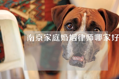 南京家庭婚姻律师哪家好 南京家庭婚姻律师哪家好