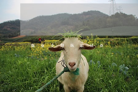 南京小额诉讼试点 南京小额诉讼试点
