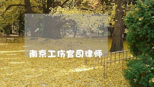 南京工伤官司律师 南京工伤官司律师