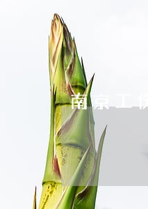 南京工伤理赔的律师免费咨询 南京工伤理赔的律师免费咨询