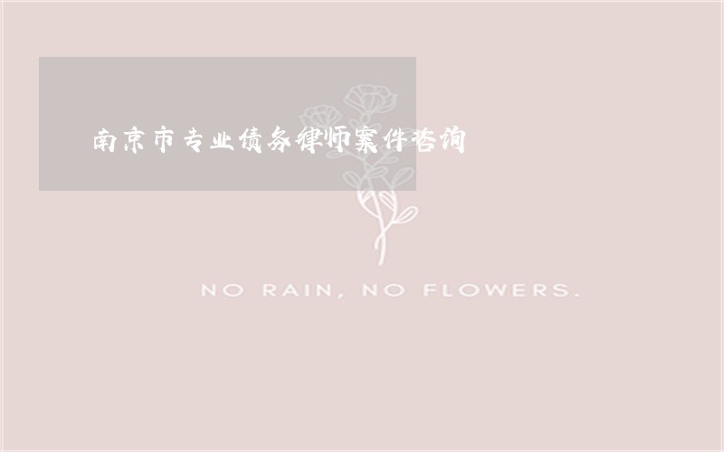 南京市专业债务律师案件咨询