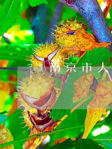 南京市人防法规 南京市人防法规