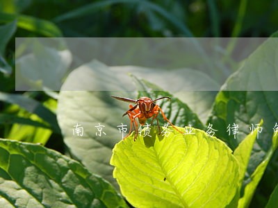 南京市债务业务律师免费咨询 南京市债务业务律师免费咨询