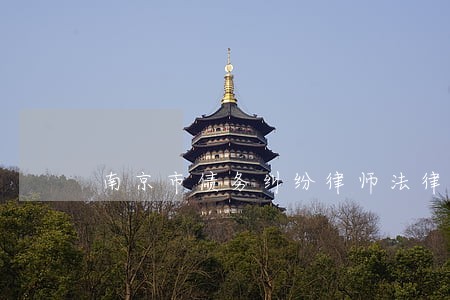 南京市债务纠纷律师法律咨询 南京市债务纠纷律师法律咨询