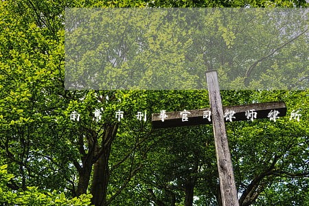 南京市刑事官司律师律所专业严谨 南京市刑事官司律师律所专业严谨