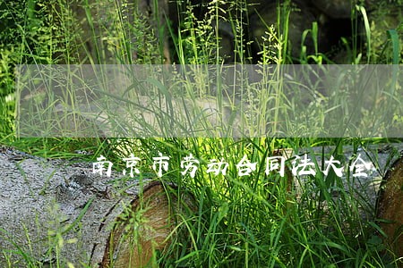 南京市劳动合同法大全 南京市劳动合同法大全