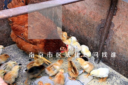 南京市区法律顾问找谁 南京市区法律顾问找谁