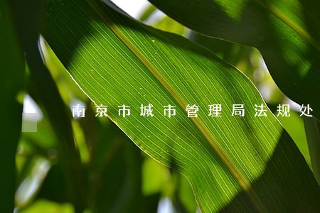 南京市城市管理局法规处 南京市城市管理局法规处