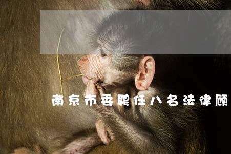 南京市委聘任八名法律顾问 南京市委聘任八名法律顾问