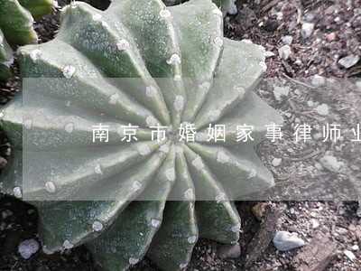 南京市婚姻家事律师业务较好 南京市婚姻家事律师业务较好