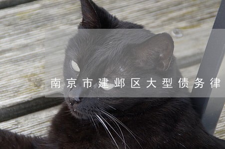 南京市建邺区大型债务律师 南京市建邺区大型债务律师