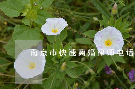 南京市快速离婚律师电话 南京市快速离婚律师电话