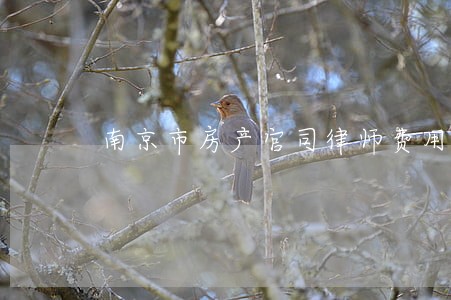 南京市房产官司律师费用 南京市房产官司律师费用