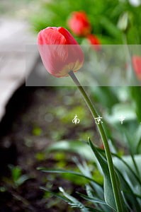 南京市房产律师选谁 南京市房产律师选谁