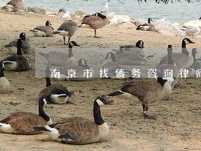 南京市找债务咨询律师 南京市找债务咨询律师