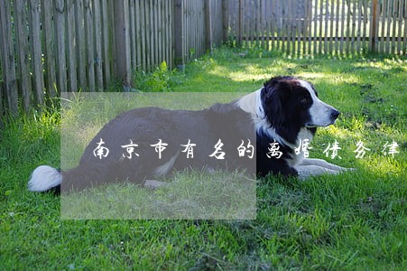 南京市有名的离婚债务律师 南京市有名的离婚债务律师
