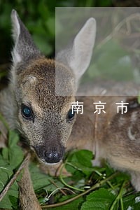南京市比较好的婚姻房产律师 南京市比较好的婚姻房产律师